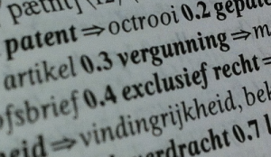 patent woordenboek detail